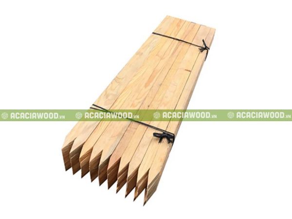 Cọc gỗ keo dẹp